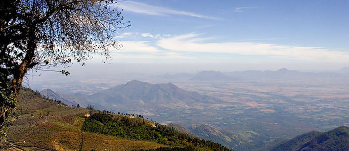 Palani View