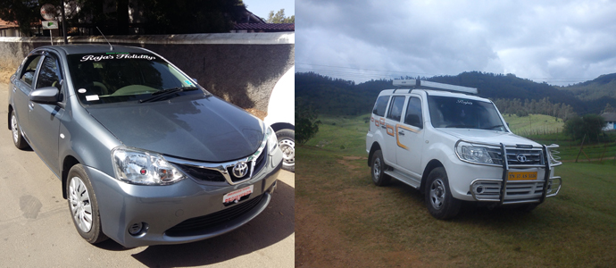 Car Rentals