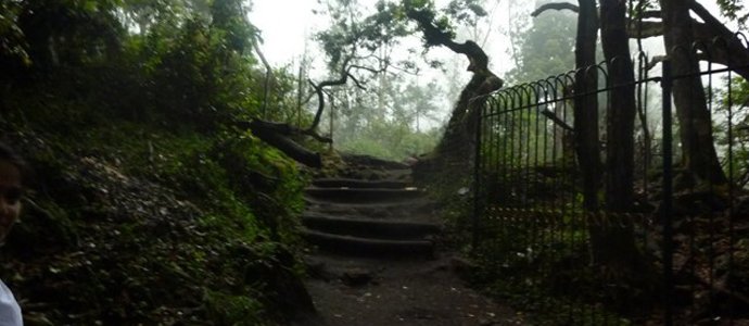 Guna Gaves (Devils Kitchen)