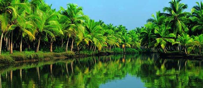 Kumarakom Backwaters
