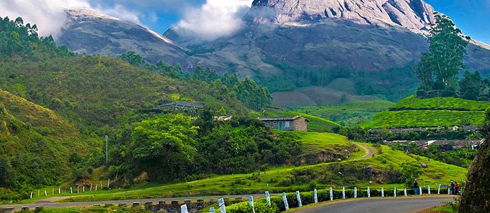 Hill Station View - Munnar