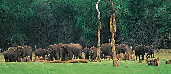 Thekkady Wildlife Sactuary