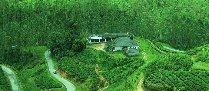 Munnar Tea Factory View