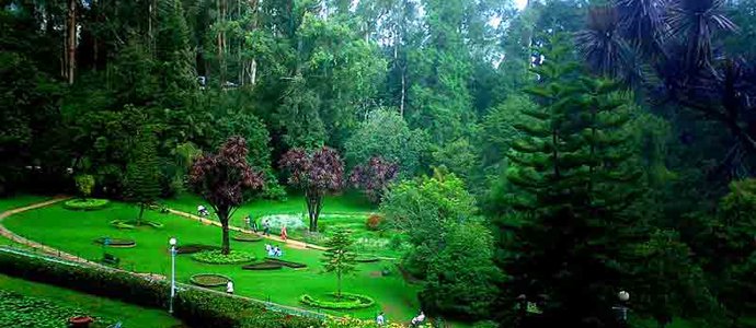 Ooty Potanical Garden